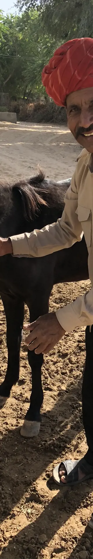 Mit Händen und Füssen